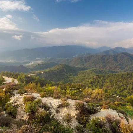 Paradiso Sunset Pomos