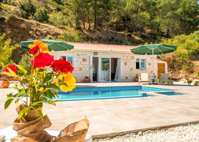 Paradiso Sunset Pomos