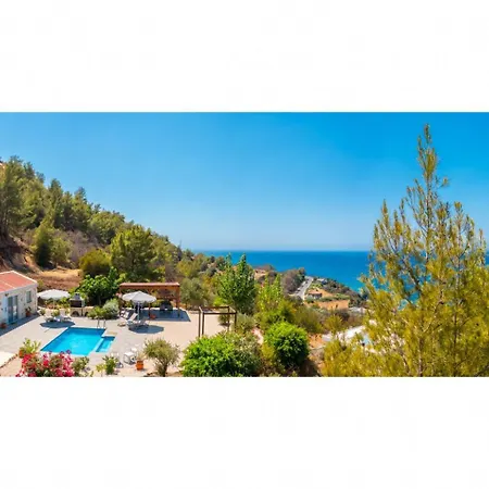 Paradiso Sunset Pomos