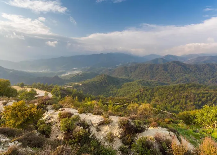 Paradiso Sunset Pomos